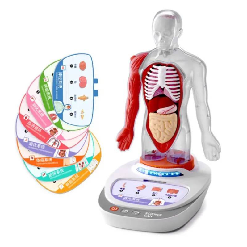 Otras marcas Canal Science Mi Cuerpo Voz Pedia 3D> Imitación