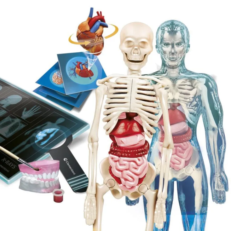 Ciencia y juego Superanatomía> Imitación|Juguetes De Ciencia