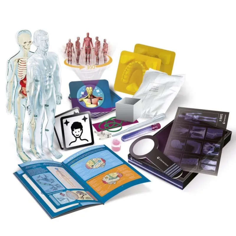 Ciencia y juego Superanatomía> Imitación|Juguetes De Ciencia