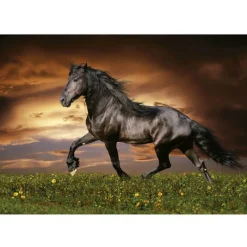 Otras marcas Educa Puzzle 1000 Piezas Caballo a Trote - 19555> Puzzles