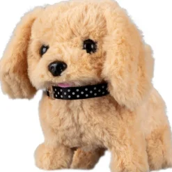 Mascottas Peluquería Canina><noscript><img width=