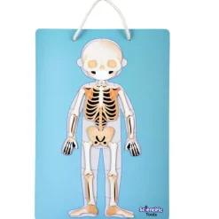 Scientific tools Aprendo el Cuerpo Humano Magnético><noscript><img width=