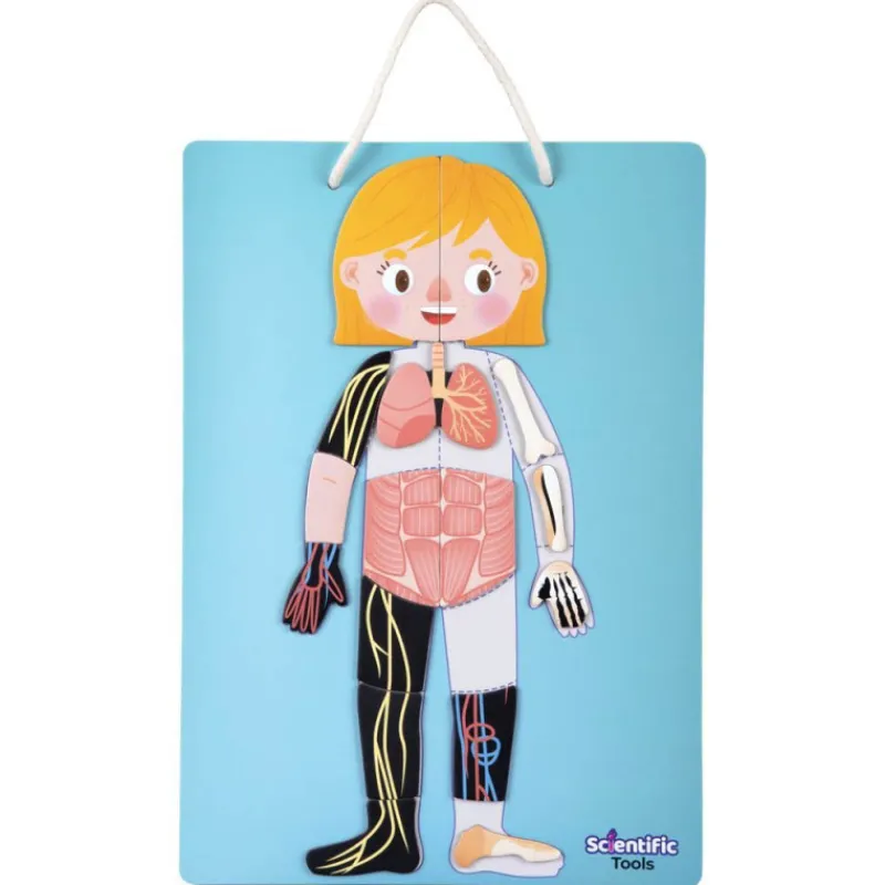 Scientific tools Aprendo el Cuerpo Humano Magnético> Imitación