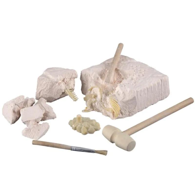 Scientific tools Set De Excavación> Imitación|Juguetes De Ciencia